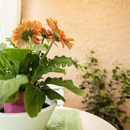 Marini House Olbia