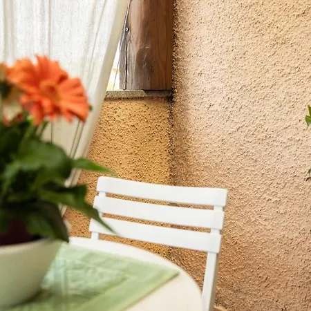 Apartment Marini House *